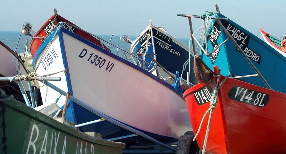 GAL Costeiro do Litoral Norte disponibiliza mais de 1 milhão de euros para apoiar projetos ligados ao mar, cultura e sustentabilidade